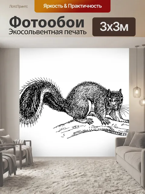 Фотообои Иллюстрация Белка Clipart