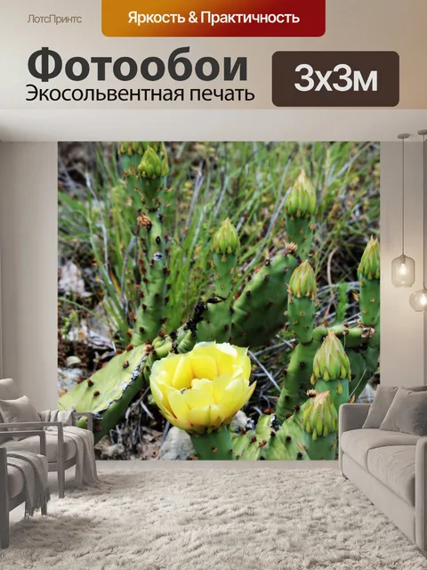 Фотообои Колючая груша Кактус Блум и почки