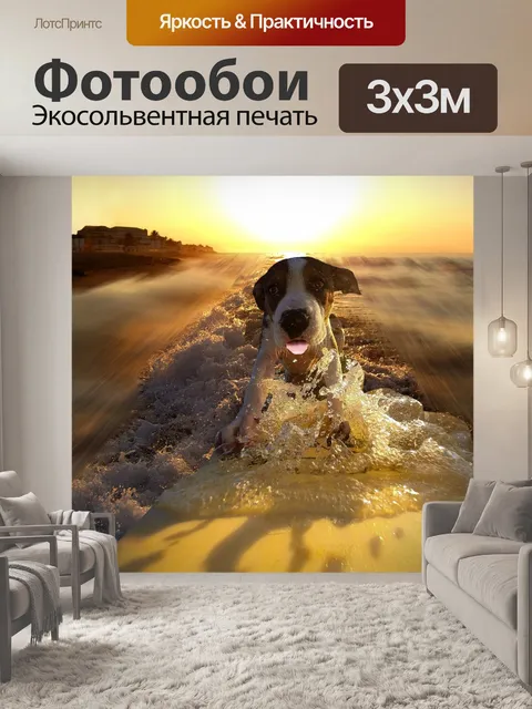Фотообои Собака