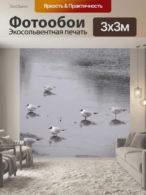 Фотообои Черные чайки