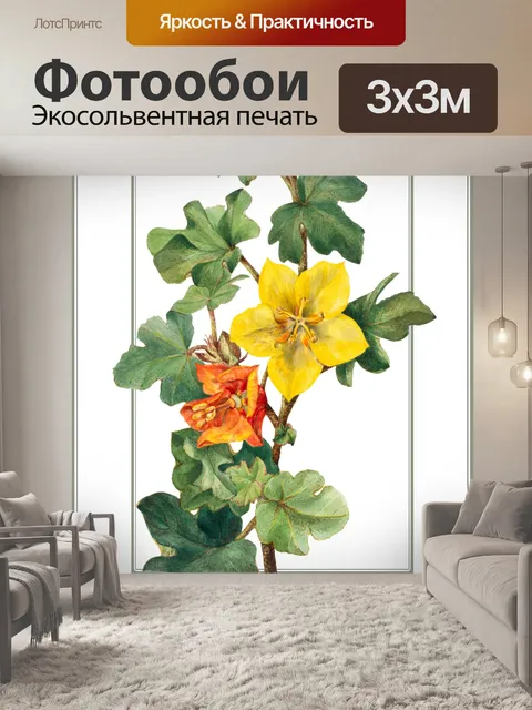 Фотообои Винтажная цветочная иллюстрация в рамке