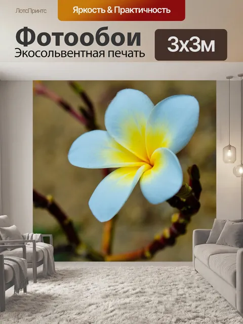 Фотообои Цветы
