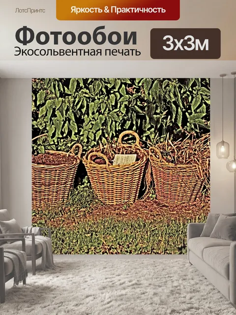 Фотообои Три корзины