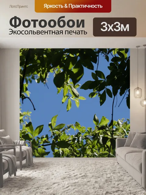 Фотообои зеленая листва обрамляет голубое небо