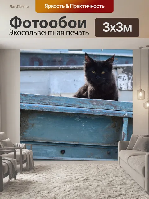 Фотообои Китти