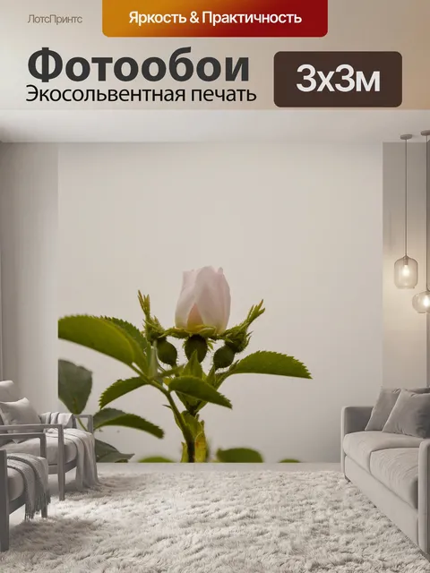 Фотообои Роуз
