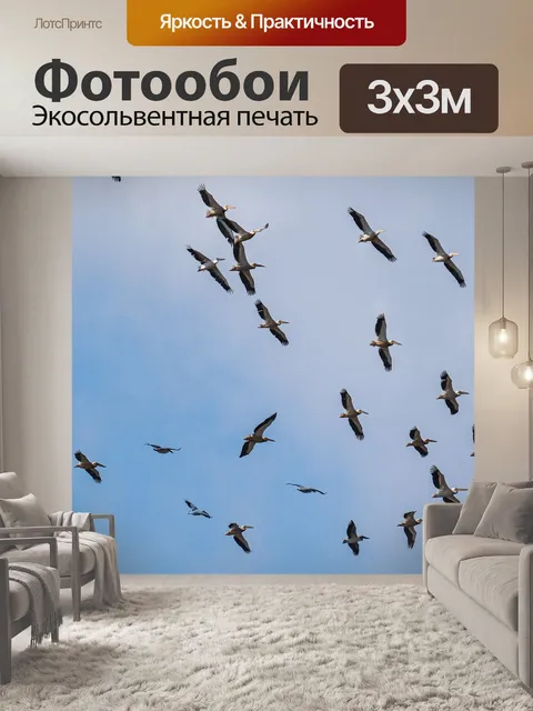 Фотообои Большие белые пеликаны