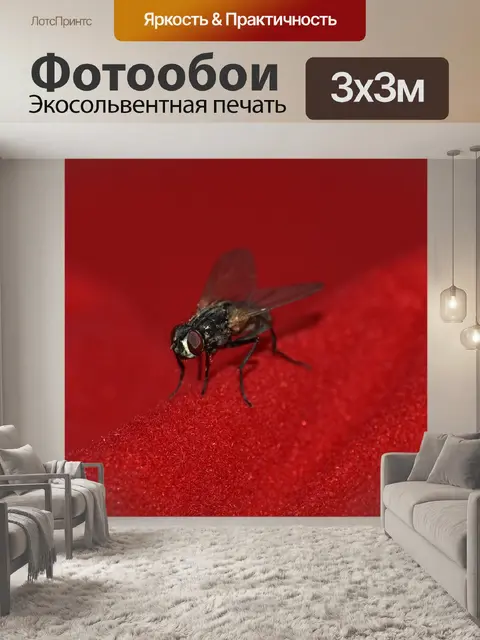 Фотообои Летать