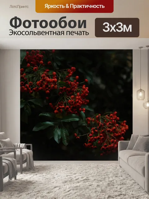 Фотообои Рябина