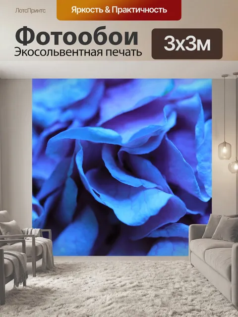 Фотообои Роза