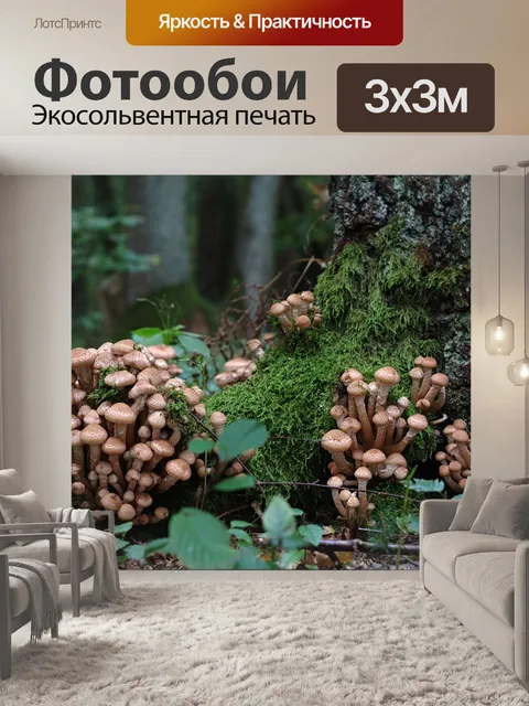 Фотообои Опёнок осенний