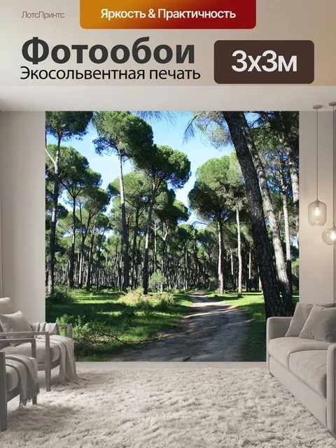 Фотообои Сосновый лес