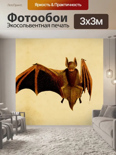 Фотообои Винтажная летучая мышь на старинной бума