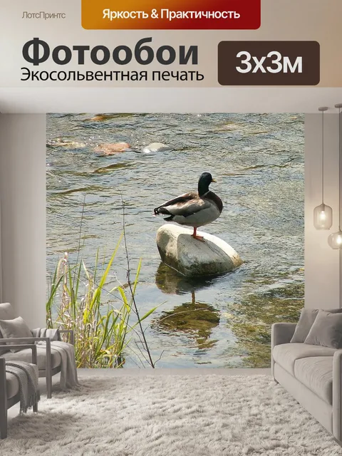 Фотообои Дак