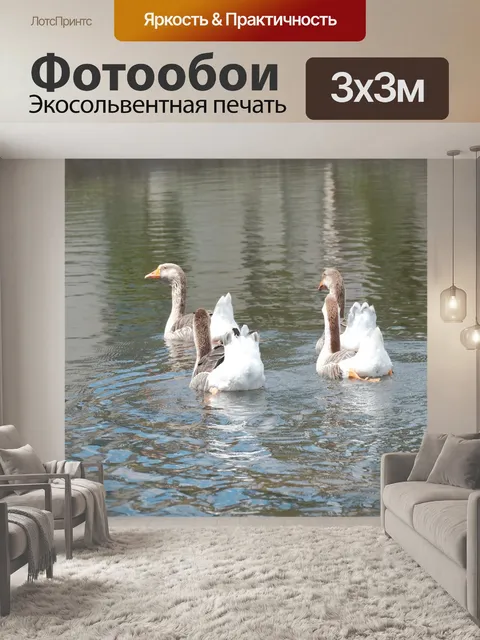 Фотообои Группа гусей на пруду