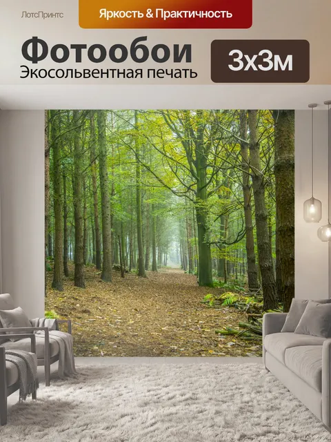 Фотообои Туманный лес
