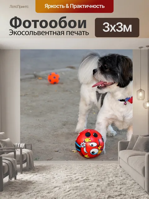 Фотообои Собака