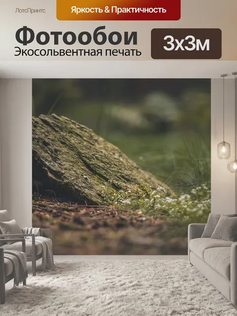 Фотообои Камень