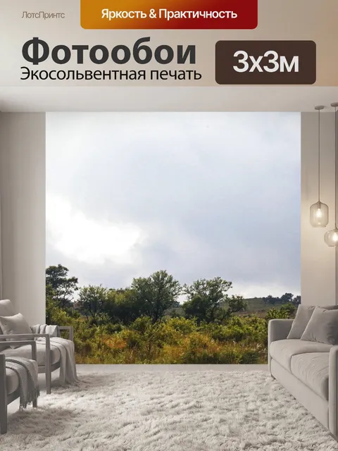 Фотообои Бушвельд пейзаж под пасмурным небом