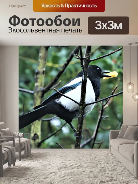 Фотообои Птица