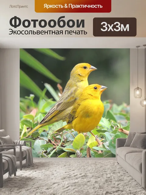 Фотообои Птицы