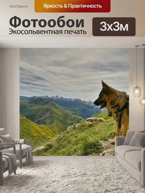 Фотообои Собака