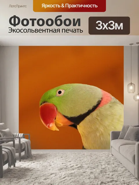 Фотообои Птица