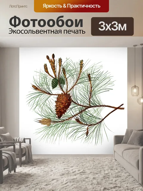 Фотообои Винтажный клипарт еловые ветки шишек