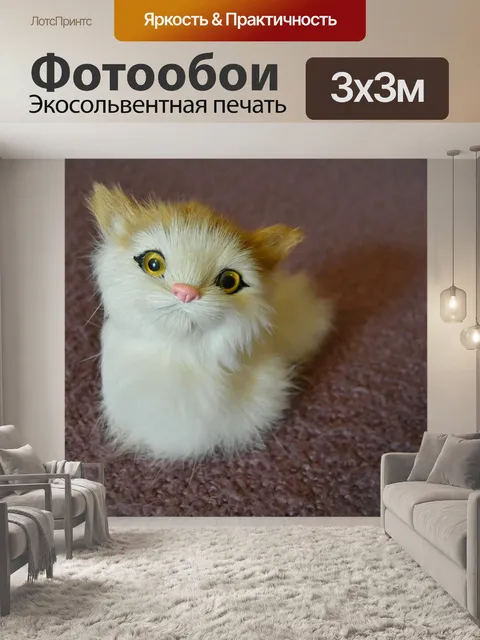 Фотообои Котенок