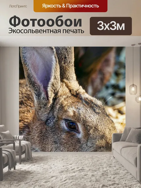 Фотообои Кролик