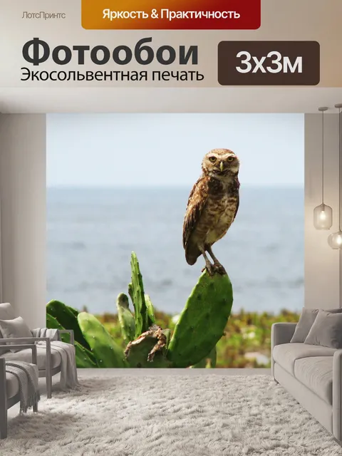 Фотообои Птица