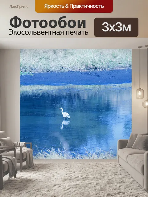 Фотообои серая цапля стоит на мелководье