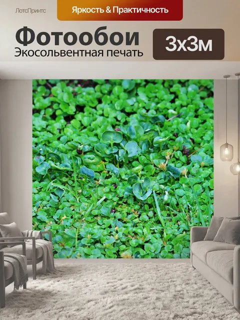 Фотообои Чудо газон, шип и травы