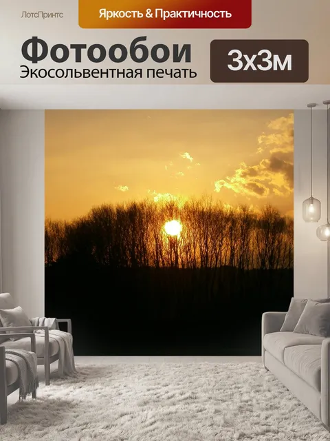 Фотообои Фон