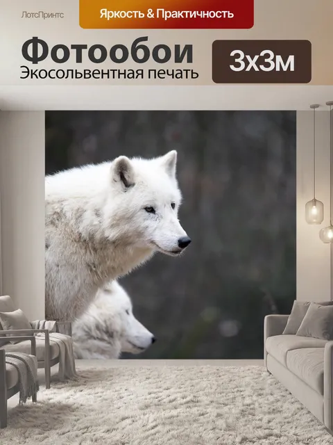 Фотообои Белый волк
