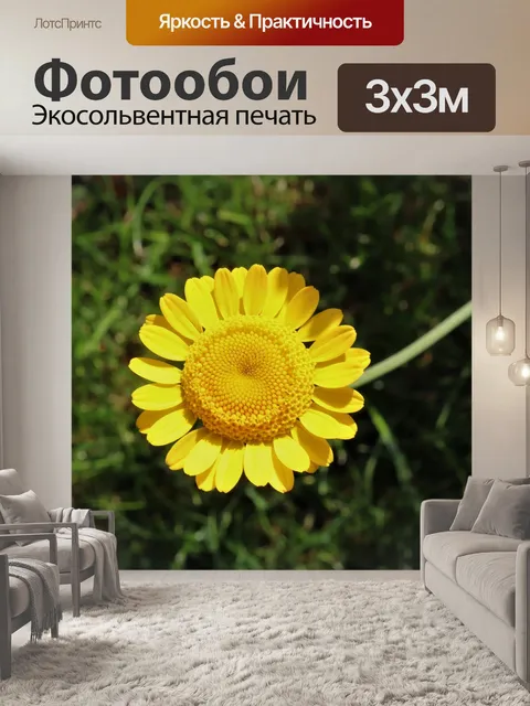 Фотообои Цветы