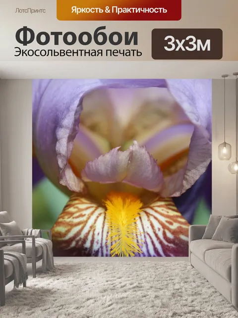 Фотообои Цветок