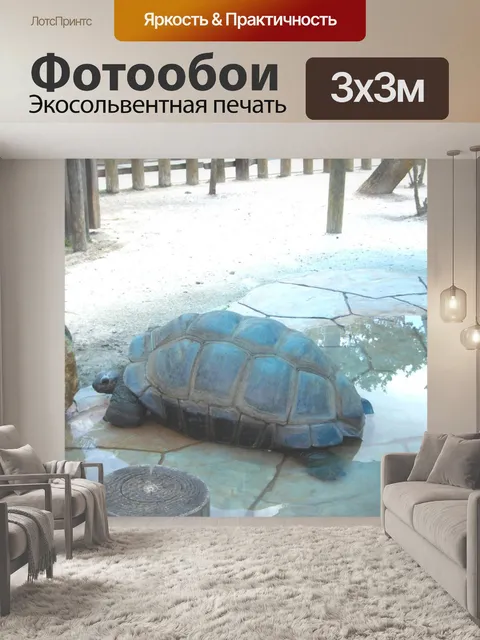 Фотообои Огромные Live Turtle