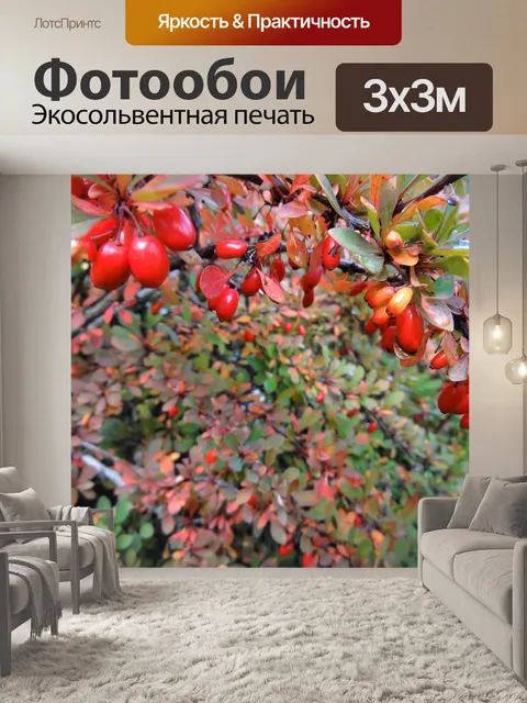 Фотообои Осень