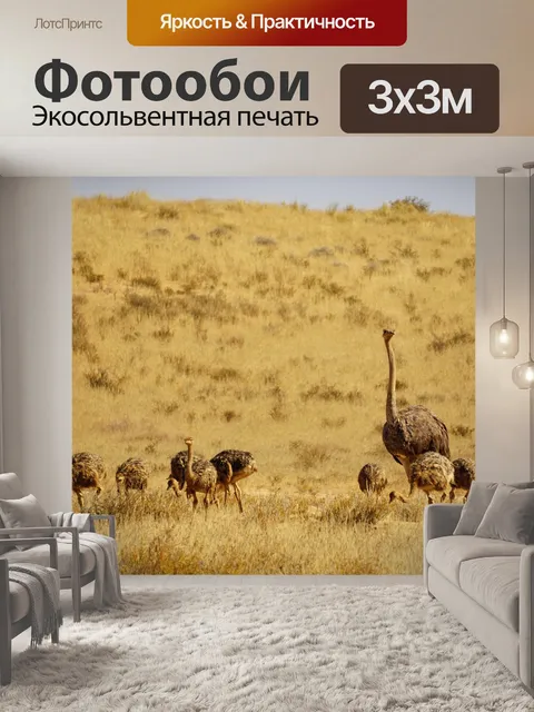 Фотообои Страус