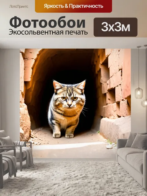 Фотообои коты, исследующие тайные туннели в городе