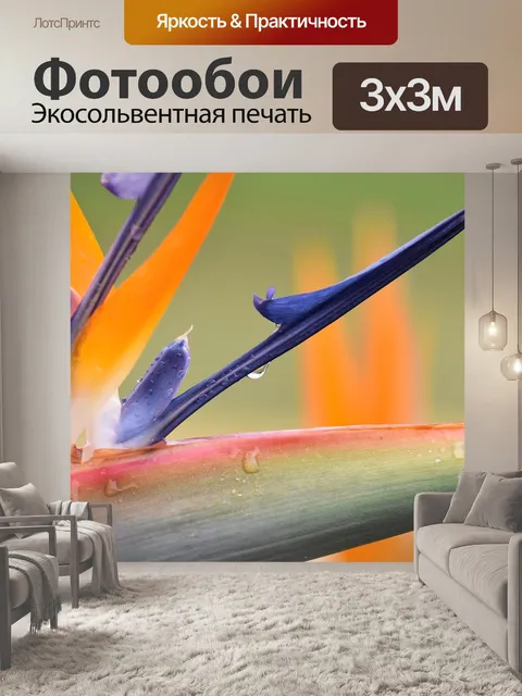 Фотообои Стрельба