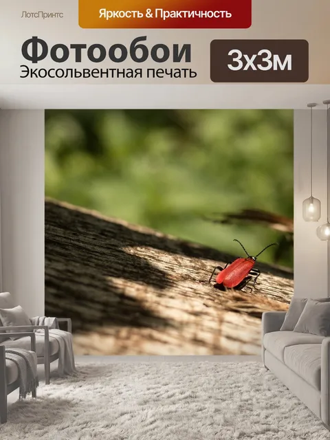 Фотообои Жук