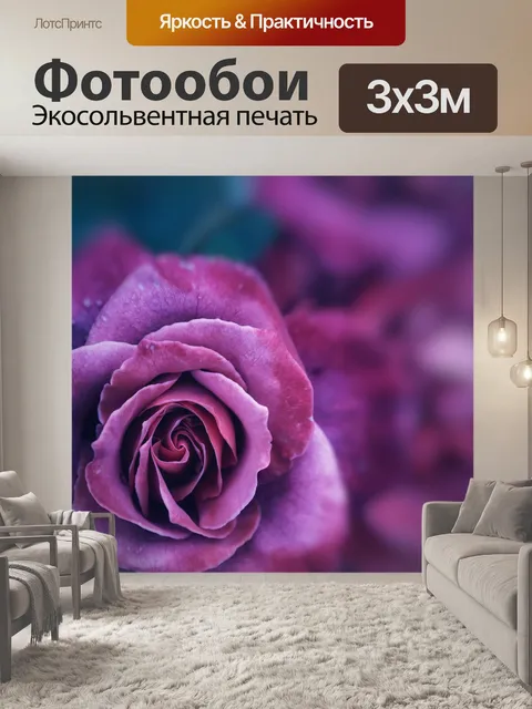 Фотообои Роза цветок цветущий сад