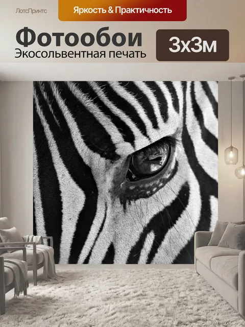 Фотообои Зебра