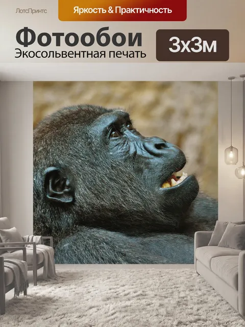 Фотообои Обезьяна