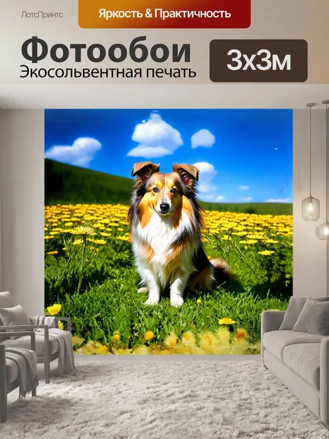 Фотообои шелти, грациозно сидящая на зеленом лугу, окруженная яркими полевыми цветами