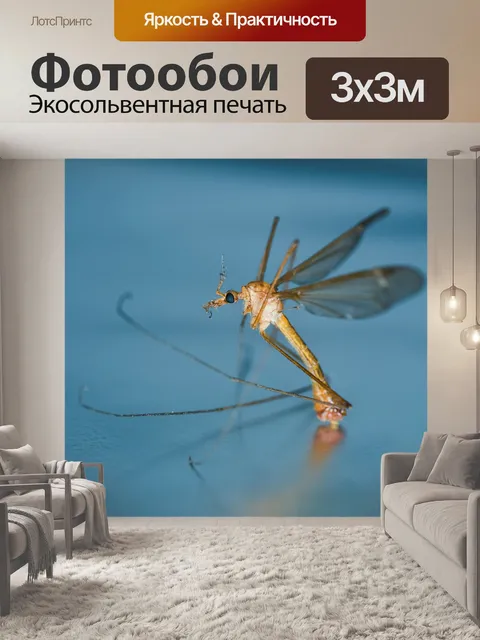 Фотообои Комар