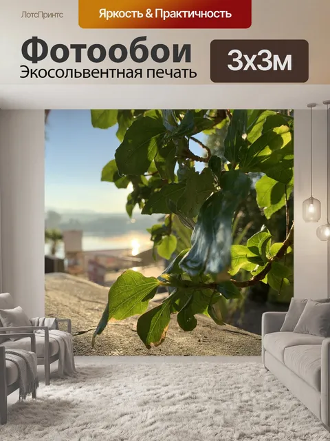 Фотообои Перспектива