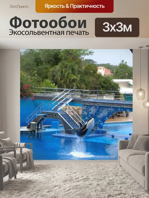 Фотообои Дельфин-касатка